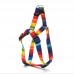 Комплект поводок та шлея для собак Zoo-hunt капронову 2,0 см Веселка 
