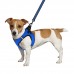 Шлея для собак Bronzedog Mesh Vest 3D сітка Синя  XS(83302/Т) 