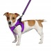 Шлея для собак Bronzedog Mesh Vest 3D сітка Фіолетова  2XS(83207/Т) 