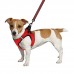 Шлея для собак Bronzedog Mesh Vest 3D сітка Червона  S(83403/Т) 