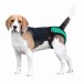 Труси гігієнічні Bronzedog Mesh регульовані 3D сітка Ментолові  S(672108/Т) 