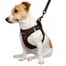Шлея для собак Barksi Sport Vest неопрен 3D сітка коричнева  S(76406/Т) 