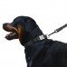 Нашийник для Собак BronzeDog Active Нейлоновий зі Світловідбиттям та Металевою Пряжкою Чорний  S(32/1301/Т) 