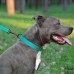 Нашийник для Собак BronzeDog Active Нейлоновий зі Світловідбиттям та Пластиковою Пряжкою Ментоловий  L(52/1308/Т) 