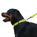 Нашийник для Собак BronzeDog Active Нейлоновий зі Світловідбиттям та Металевою Пряжкою Салатовий  S(32/1305/Т) 