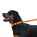 Нашийник для Собак BronzeDog Active Нейлоновий зі Світловідбиттям та Пластиковою Пряжкою Помаранчевий  S(50/1304/Т) 