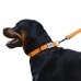 Нашийник для Собак BronzeDog Active Нейлоновий зі Світловідбиттям та Металевою Пряжкою Помаранчевий  S(32/1304/Т) 