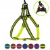 Шлея для Собак BronzeDog Mesh Стандарт Лимонний  L(82205/Т) 