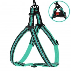 Шлея для Собак BronzeDog Mesh Стандарт Ментолова L(82208/Т) Шлея для Собак BronzeDog Mesh Стандарт Ментолова L(82208/Т)