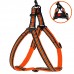 Шлея для Собак BronzeDog Mesh Стандарт Помаранчевий  L(82204/Т) 