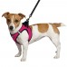 Шлея для собак Barksi Sport Vest неопрен 3D сітка рожева  S(76407/Т) 