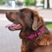 Нашийник для Собак Круглий Шкіряний BronzeDog Premium з Металевою Фурнітурою Рожевий  2XS(00317/Т) 