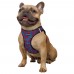 Шлея для Собак Sport Vest Barksi Вишні  2XS(762/8628) 