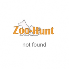Сумка на пояс Zoo-hunt Турист для вигулу собак сірий 